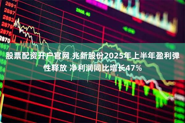 股票配资开户官网 兆新股份2025年上半年盈利弹性释放 净利润同比增长47%